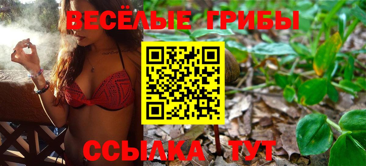 дарнет шоп  Вход с VPN  Острогожск  Псилоцибиновые грибы Psilocybine cubensis 