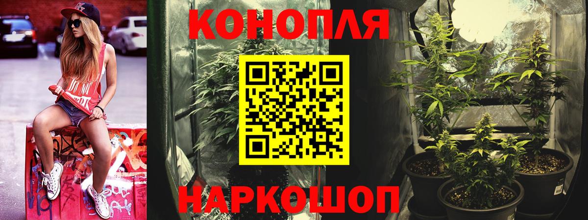 МАРИХУАНА конопля Острогожск